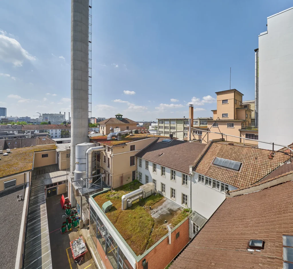 BaselCircular - Franck Areal